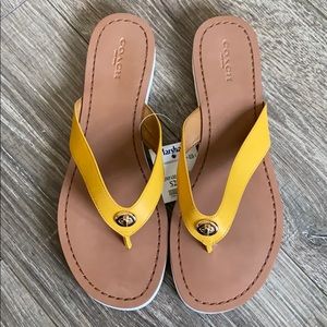 NEVER WORN COACH FLIP FLOPS